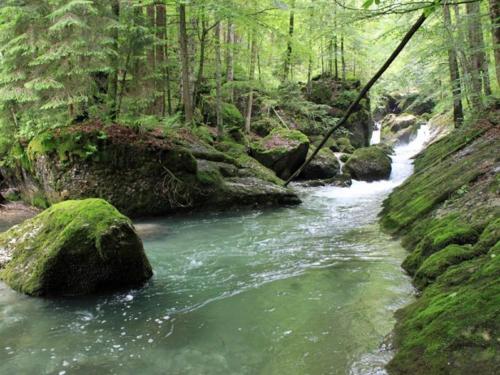Impressionen